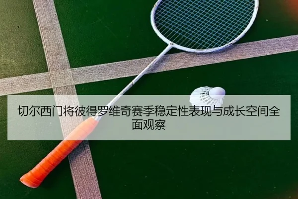 切尔西门将彼得罗维奇赛季稳定性表现与成长空间全面观察
