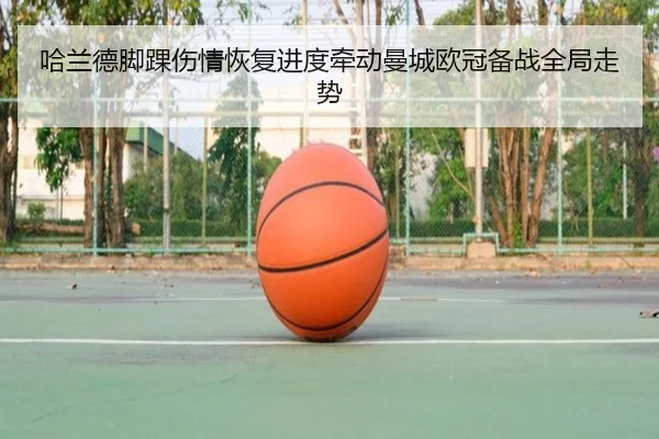 哈兰德脚踝伤情恢复进度牵动曼城欧冠备战全局走势